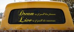 Dream as if youll live forever Car or Truck Window Decal Sticker (Yellow)