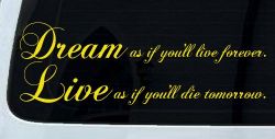 Dream as if youll live forever Car or Truck Window Decal Sticker (Yellow)