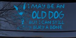 Funny I May Be An Old Dog But I Can Still Bury A Bone Car or Truck Window Decal Sticker (Blue)