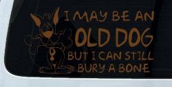 Funny I May Be An Old Dog But I Can Still Bury A Bone Car or Truck Window Decal Sticker (Copper)