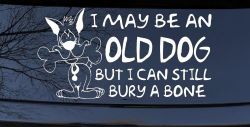Funny I May Be An Old Dog But I Can Still Bury A Bone Car or Truck Window Decal Sticker