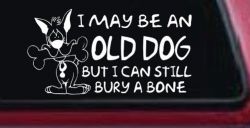 Funny I May Be An Old Dog But I Can Still Bury A Bone Car or Truck Window Decal Sticker