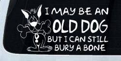 Funny I May Be An Old Dog But I Can Still Bury A Bone Car or Truck Window Decal Sticker