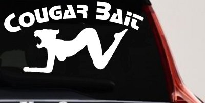 Cougar Bait Funny Car Truck Window Decal Sticker Vinyl