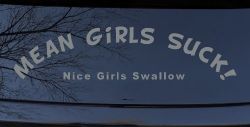 Mean Girls Suck Nice Girls Swallow Funny Car or Truck Window Decal Sticker (Telegrey)