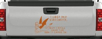 Funny Fairy Pixie I lost My Virginity But I Still Have The Box It Came In Car or Truck Vinyl Window Decal Sticker (Nut Brown)