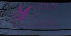 Funny I lost My Virginity But I still Have the Box It Came In Car or Truck Window Decal Sticker (Violet)