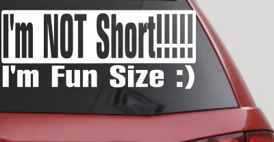 Im Not Short Im Fun Sized Funny Decal for Car Truck Window