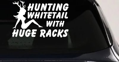 Hunting Whitetail With Huge Racks Car or Truck Vinyl Window Decal Sticker