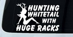 Hunting Whitetail With Huge Racks Car or Truck Window Decal Sticker