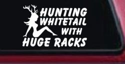 Hunting Whitetail With Huge Racks Car or Truck Window Decal Sticker