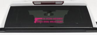 The 2nd Amendment America's Original Homeland Security Guns Car or Truck Window Decal Sticker (Hot Pink)
