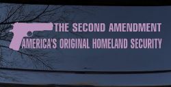 The 2nd Amendment America's Original Homeland Security Guns Car or Truck Window Decal Sticker (Lilac)