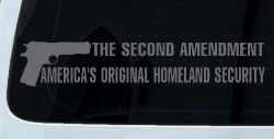 The 2nd Amendment America's Original Homeland Security Guns Car or Truck Window Decal Sticker (Silver)