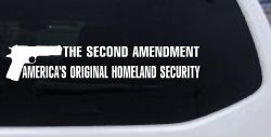 The 2nd Amendment America's Original Homeland Security Guns Car or Truck Window Decal Sticker