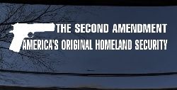 The 2nd Amendment America's Original Homeland Security Guns Car or Truck Window Decal Sticker