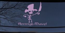 Cute Pirate Skeleton Skulls Car Truck Window Decal Sticker Arrr Matey (Lilac)