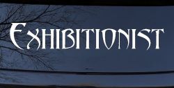 Exhibitionist Car or Truck Window Decal Sticker