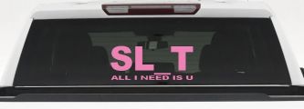 SL_T All I Need Is U Funny Slut Car or Truck Window Decal Sticker (Pink)
