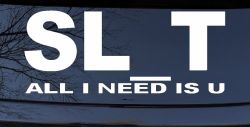 SL_T All I Need Is U Funny Slut Car or Truck Window Decal Sticker