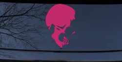 Skull Side View Car Truck Window Vinyl Decal Sticker (Hot Pink)
