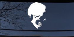 Skull Side View Car or Truck Window Decal Sticker