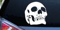 Skull Front View Skulls Car or Truck Window Decal Sticker