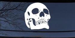 Skull Front View Skulls Car or Truck Window Decal Sticker