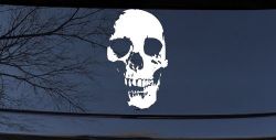Skull Shadow Skulls Car or Truck Window Decal Sticker