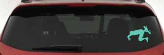 Skateboarding Car or Truck Window Decal Sticker (Mint)