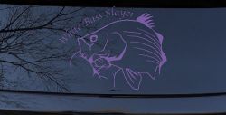 White Bass Slayer Fishing Car or Truck Window Decal Sticker (Purple)