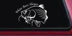 White Bass Slayer Fishing Car or Truck Window Decal Sticker