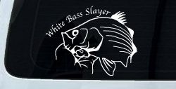 White Bass Slayer Fishing Car or Truck Window Decal Sticker