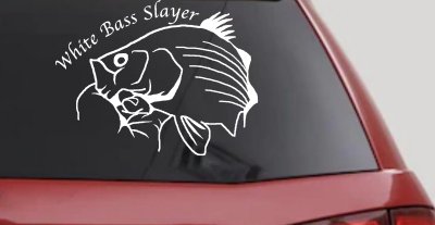 White Bass Slayer Decal for Car Truck Window Fishing Sticker