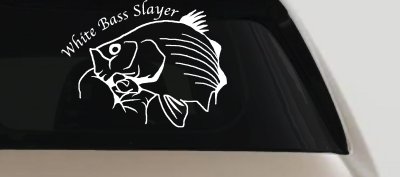 White Bass Slayer Decal for Car Truck Window Fishing Sticker
