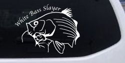 White Bass Slayer Fishing Car or Truck Window Decal Sticker