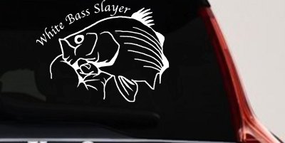 White Bass Slayer Decal for Car Truck Window Fishing Sticker