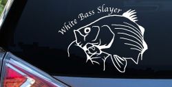 White Bass Slayer Fishing Car or Truck Window Decal Sticker