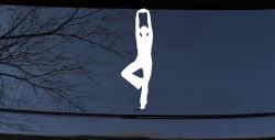 Yoga Pose Car or Truck Window Decal Sticker