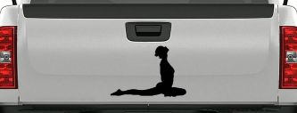 Yoga Pose Car or Truck Window Decal Sticker (Black)