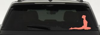 Yoga Pose Car or Truck Window Decal Sticker (Coral)