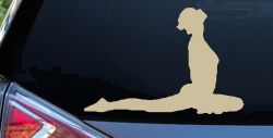 Yoga Pose Car or Truck Window Decal Sticker (Desert Sand)