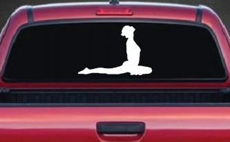 Yoga Pose Car or Truck Window Decal Sticker