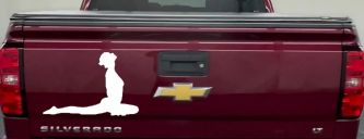 Yoga Pose Car or Truck Window Decal Sticker (White)