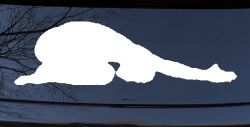 Yoga Pose Car or Truck Window Decal Sticker