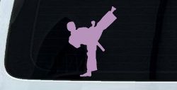 Karate Ninja Car or Truck Window Decal Sticker (Lilac)