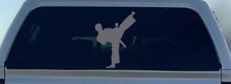 Karate Ninja Decal for Car & Truck Windows - Vinyl Sticker Art (Silver)