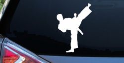 Karate Ninja Car or Truck Window Decal Sticker