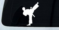 Karate Ninja Car or Truck Window Decal Sticker