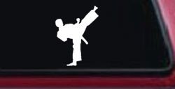 Karate Ninja Car or Truck Window Decal Sticker